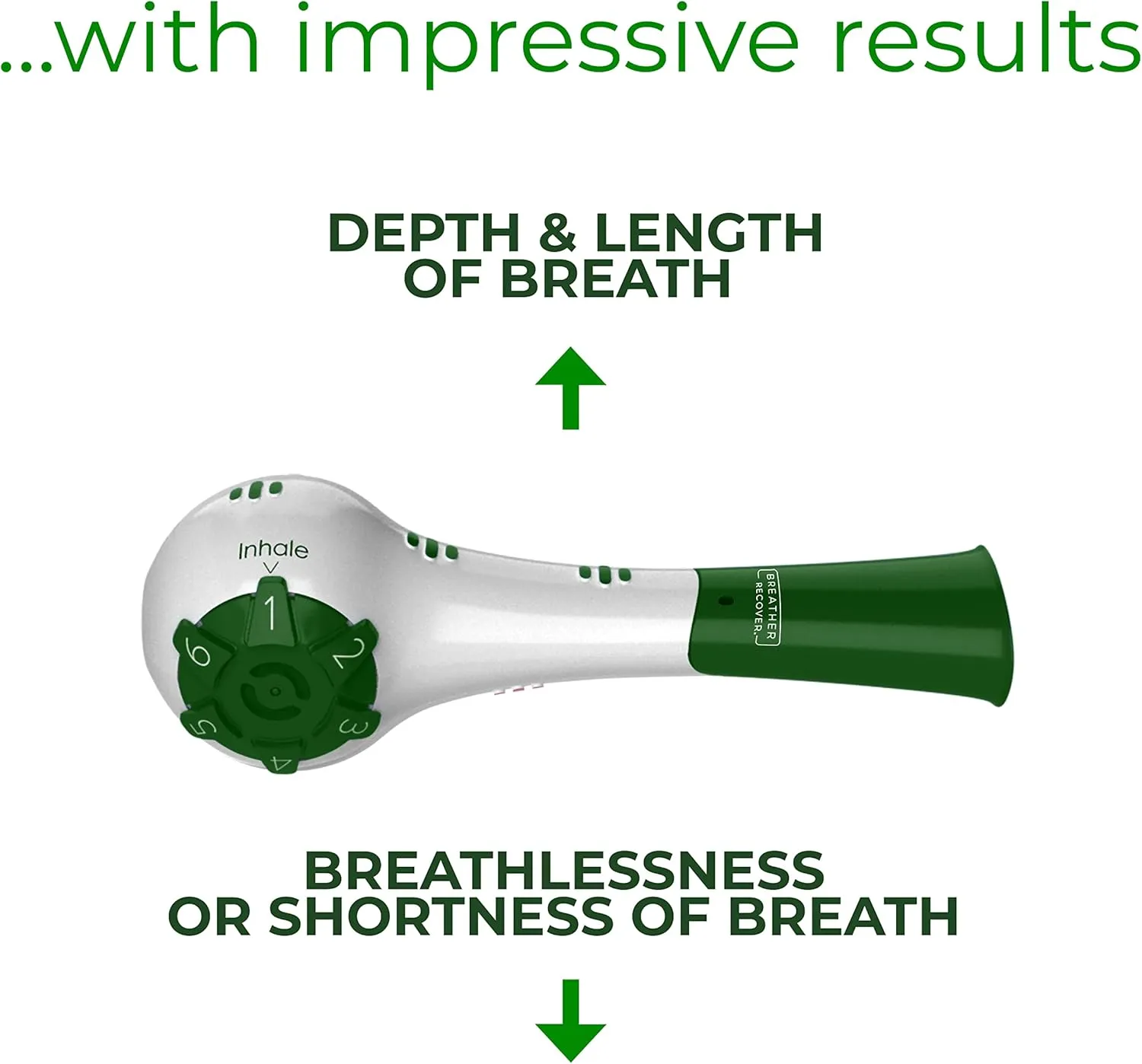 548221867_122127067406947114_1820916561966565777_n